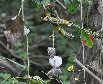 Kleine Künstler im Wald