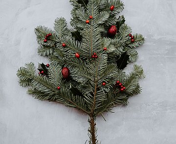 Tannenzweig dekoriert