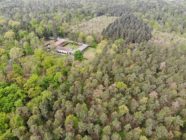 Waldzentrum aus der Luft