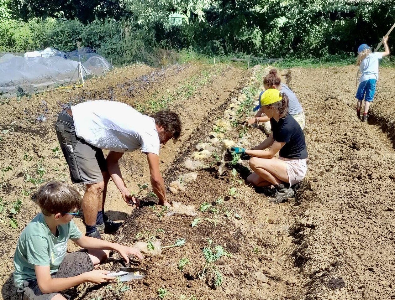 Menschen arbeiten auf Acker