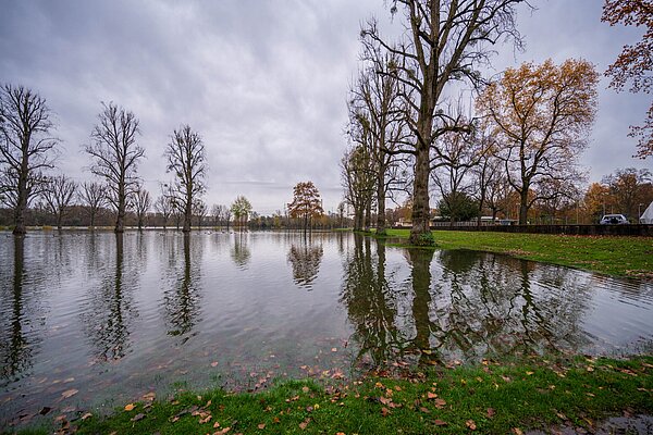 Blick auf die gefluteten Liegewiesen des Rheinstrandbads.