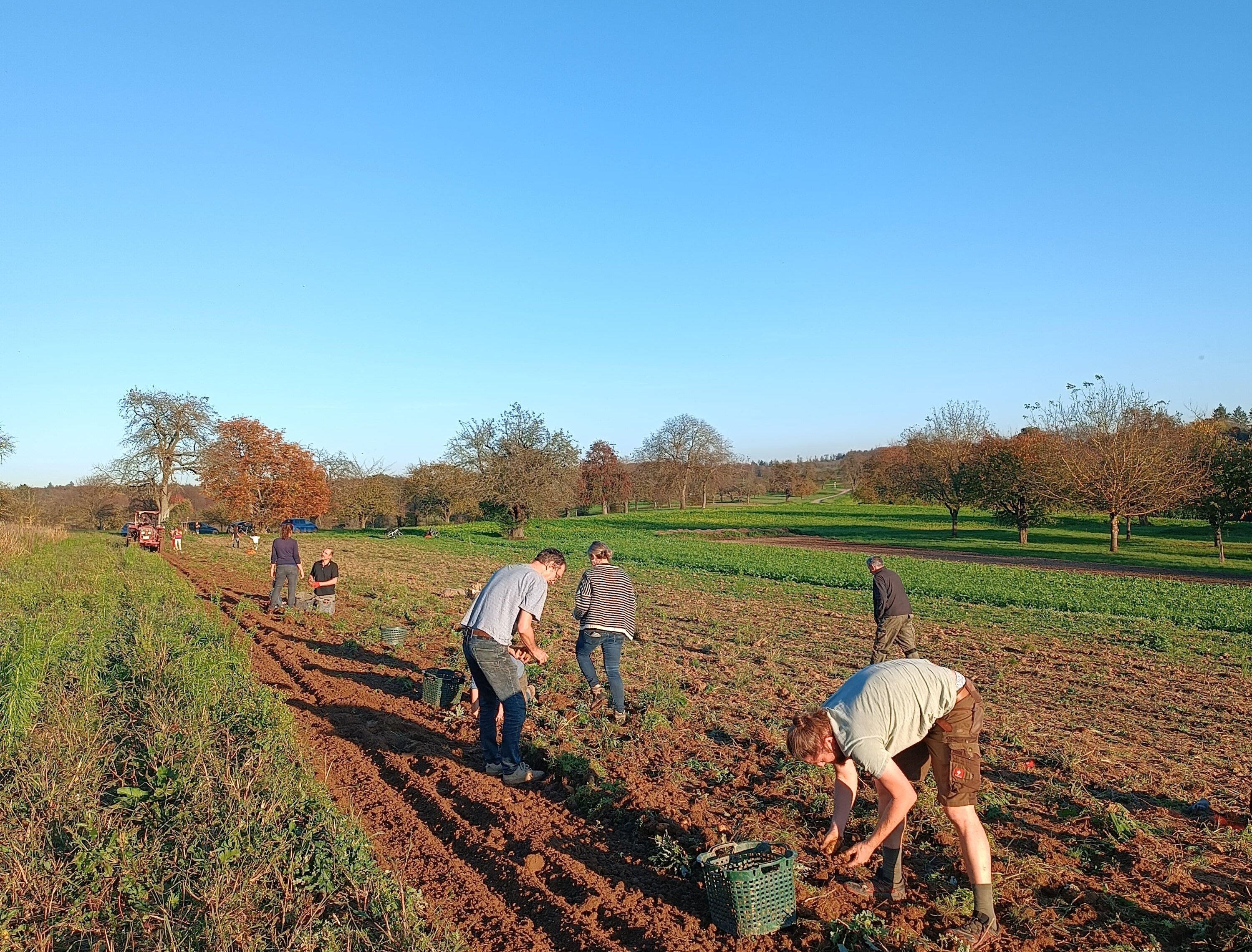 Acker bei blauem Himmel