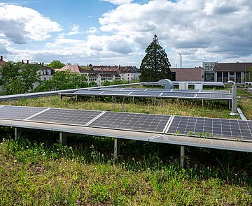Photovoltaikanlage bei Sonne auf dem Dach der Drais-Gemeinschaftsschule mit Dachbegrünung