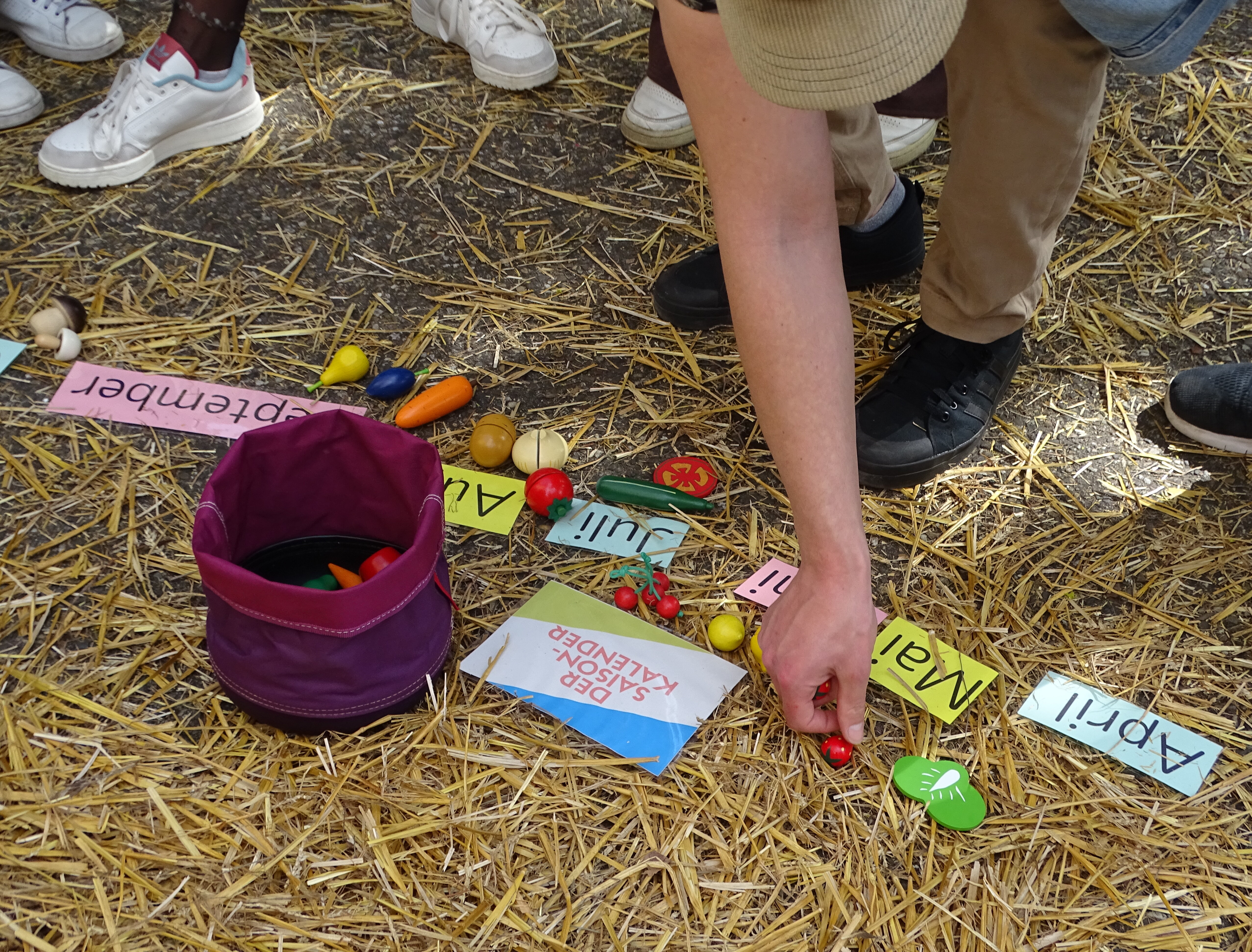 Bildungsstand des GloW Karlsruhe e.V. 