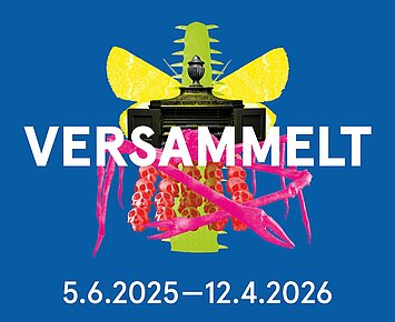 Sonntagsführung mit dem Ausstellungsteam: VERSAMMELT