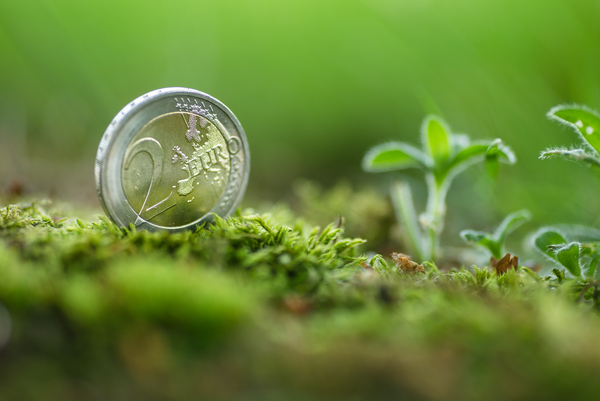 Nahaufnahme von Zwei Euro-Stück, das in Mooswiese steckt