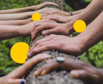 Hände von vielen verschiedenen Personen, die alle einen Baumstamm berühren.