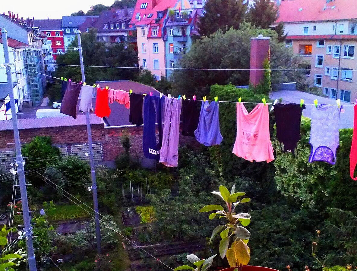 Foto von Wäscheleine, die durch einen Hinterhofgarten führt