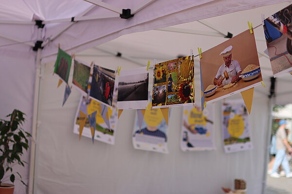 Foto-Pavillon des Fotowettbewerbs Hand drauf auf dem Mitmachtag