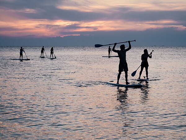 Eine Gruppe Leute beim Stand-up Paddling in der Abenddämmerung