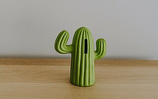 Eine Spardose in Form eines Kaktusses