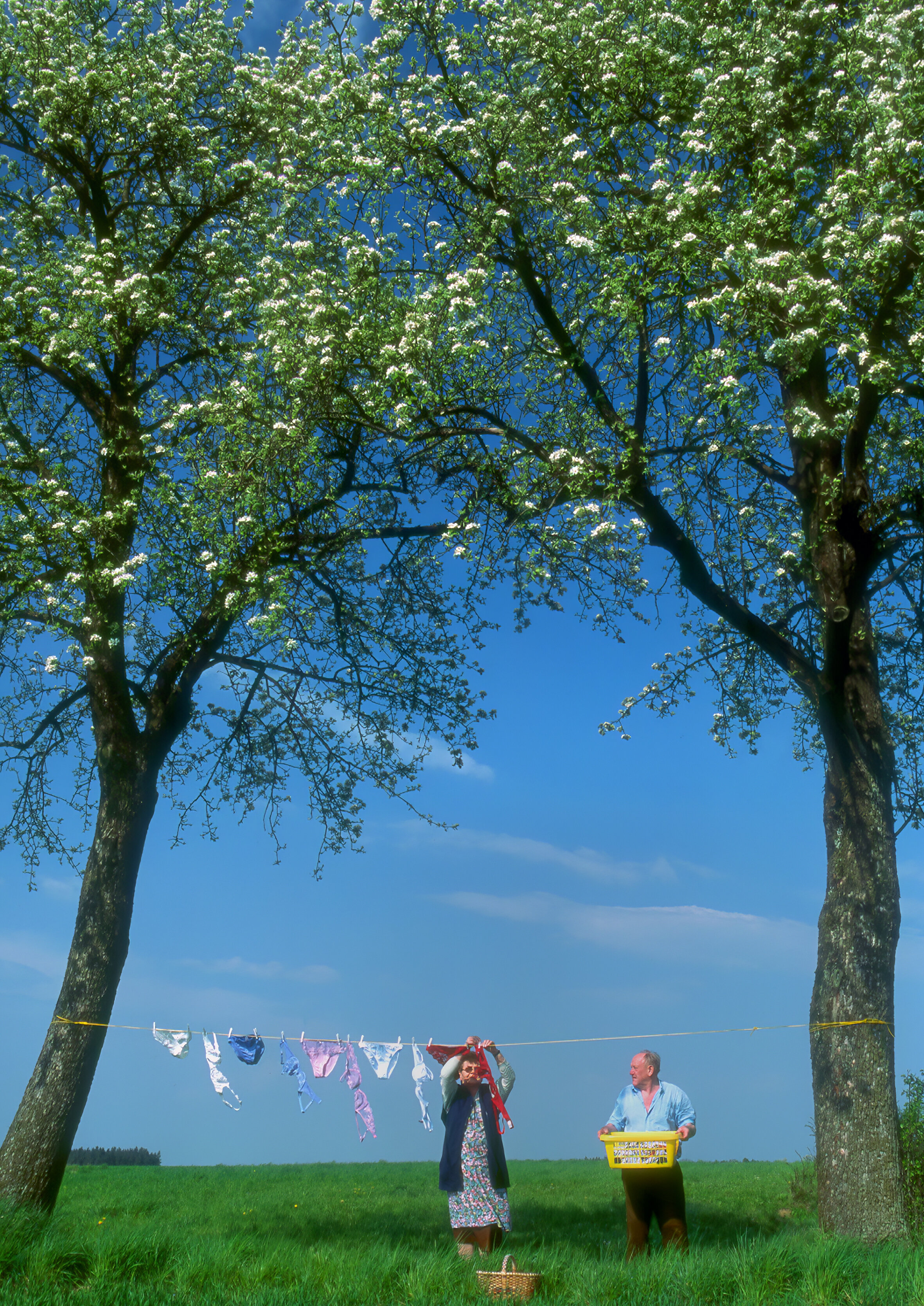 Wäscheleine zwischen zwei Bäumen vor blauem Himmel, zwei ältere Menschen hängen Wäsche an der frischne Luft auf 